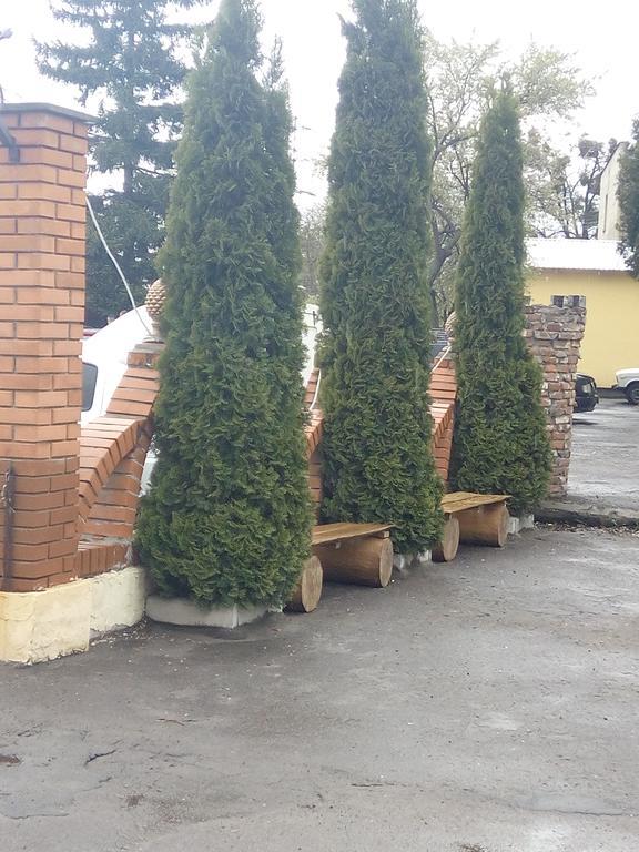 Hotel Old Castle